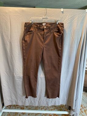 Crayon Retreat Brown Plus-Size Pants - US 20W